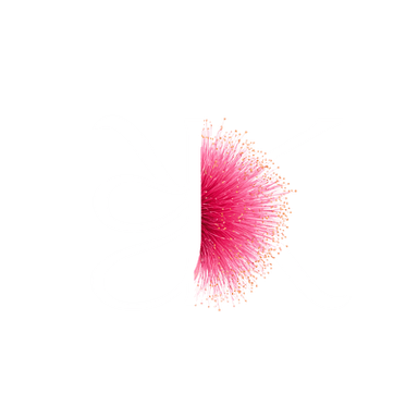 Primary Kavikara PNG logo for the preloader