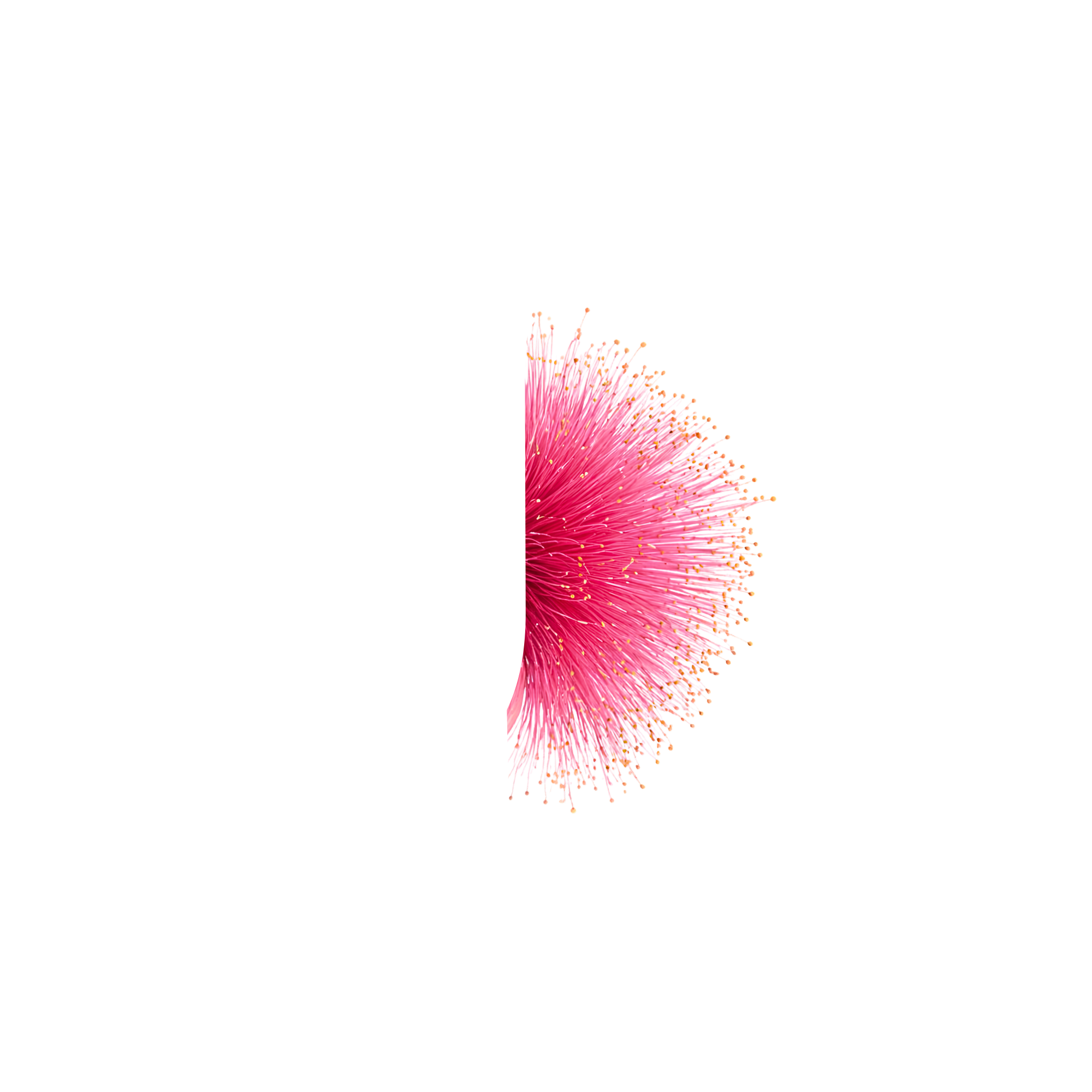 Background Blossom
